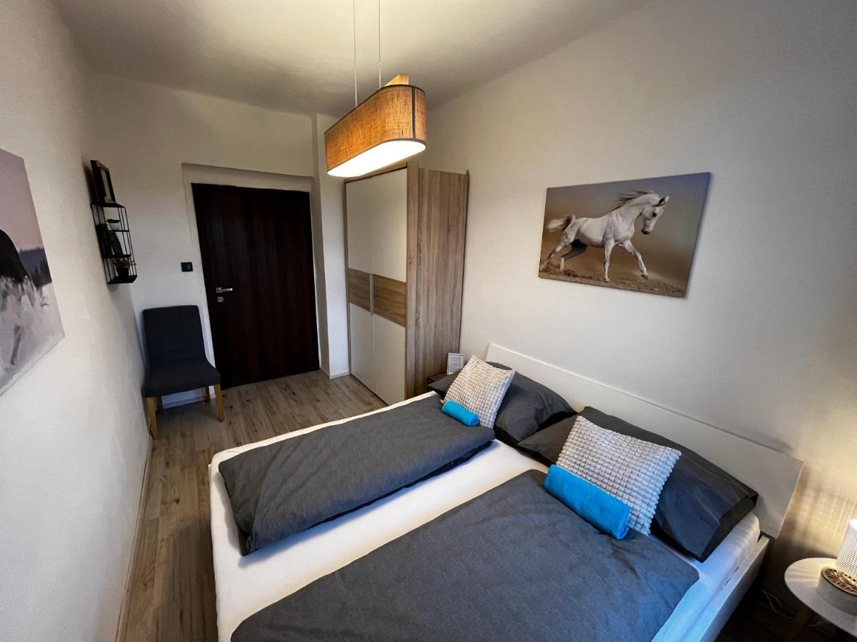 Large 3 Bedroom Apartment With City Skyline View Karlovy Vary Exterior foto